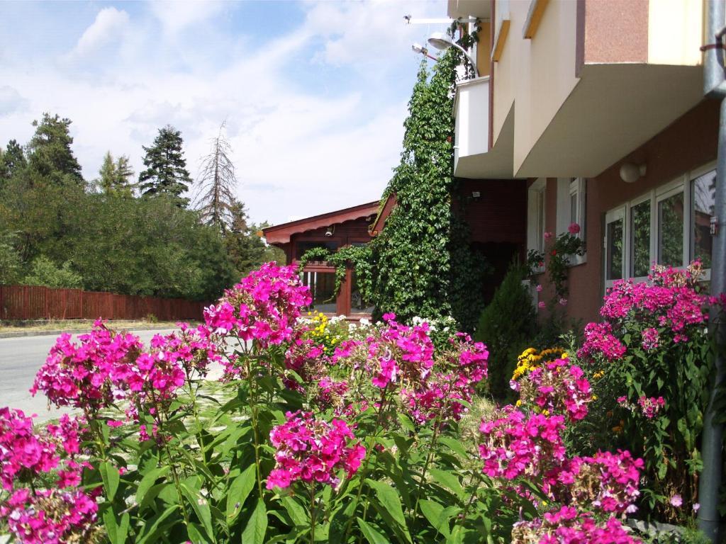 Guest House Zodiac Самоков Экстерьер фото